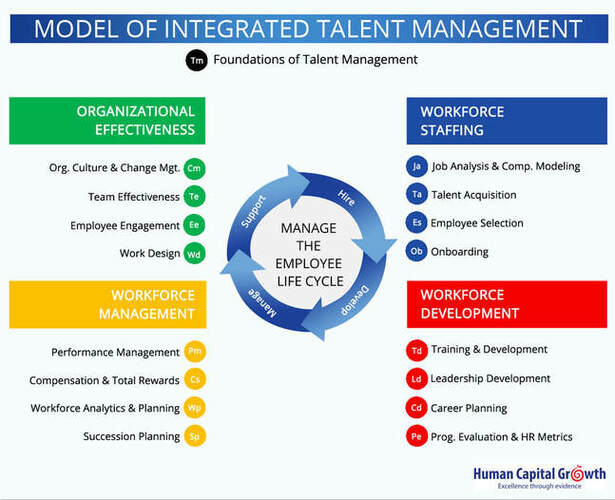 Evidence-based Leadership and Talent Management